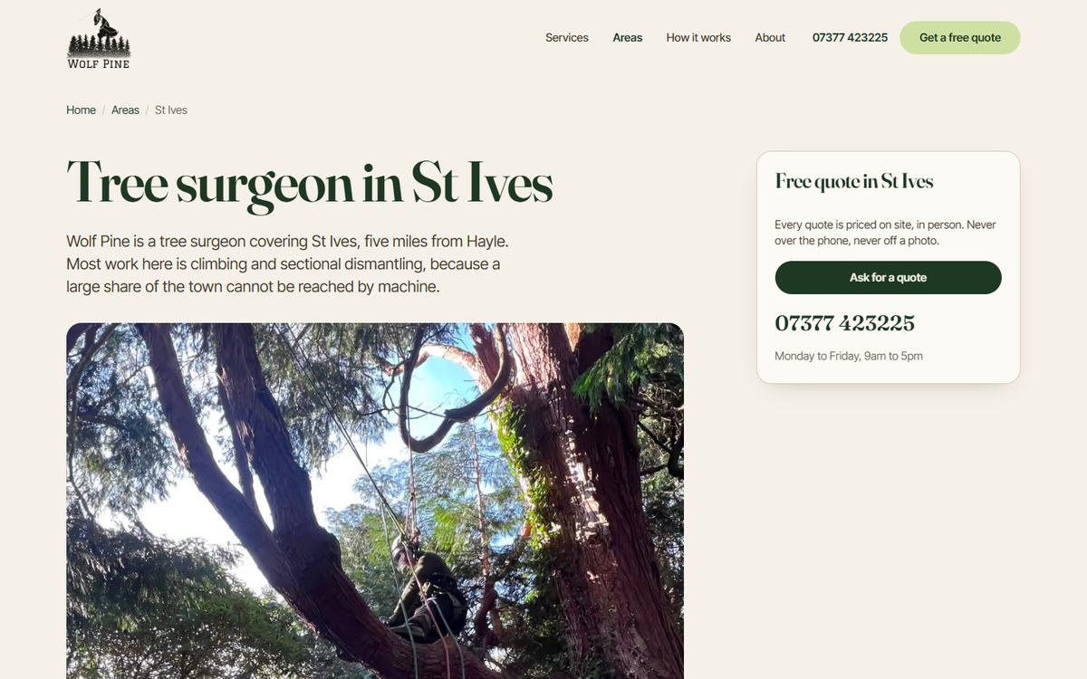 The St Ives town page: a heading reading Tree Surgeon in St Ives above copy about climbing work in streets machines cannot reach